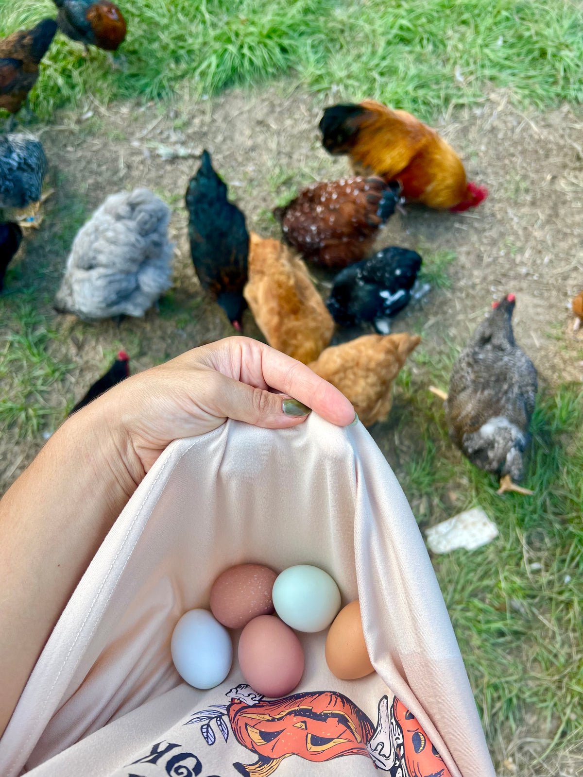 Eggs