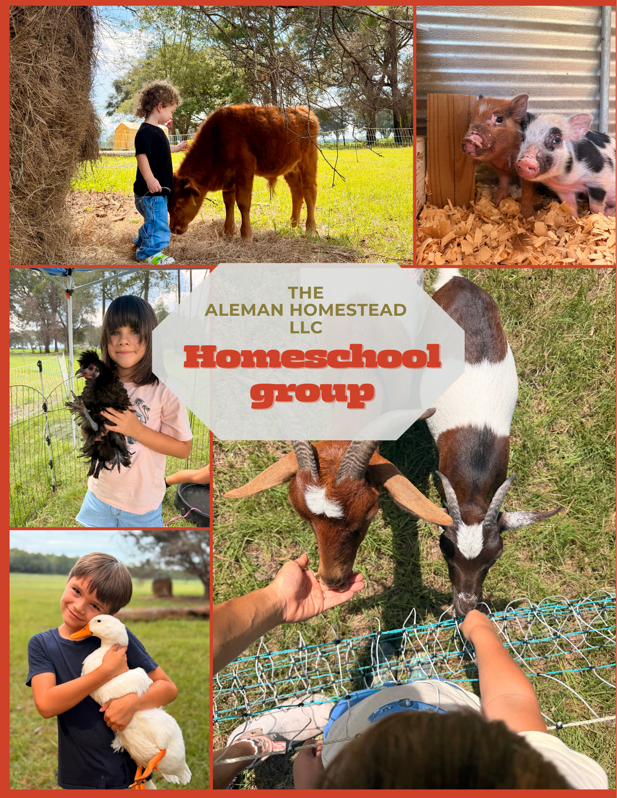 October farm/nature group