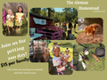 Petting zoo Sunday *10/11