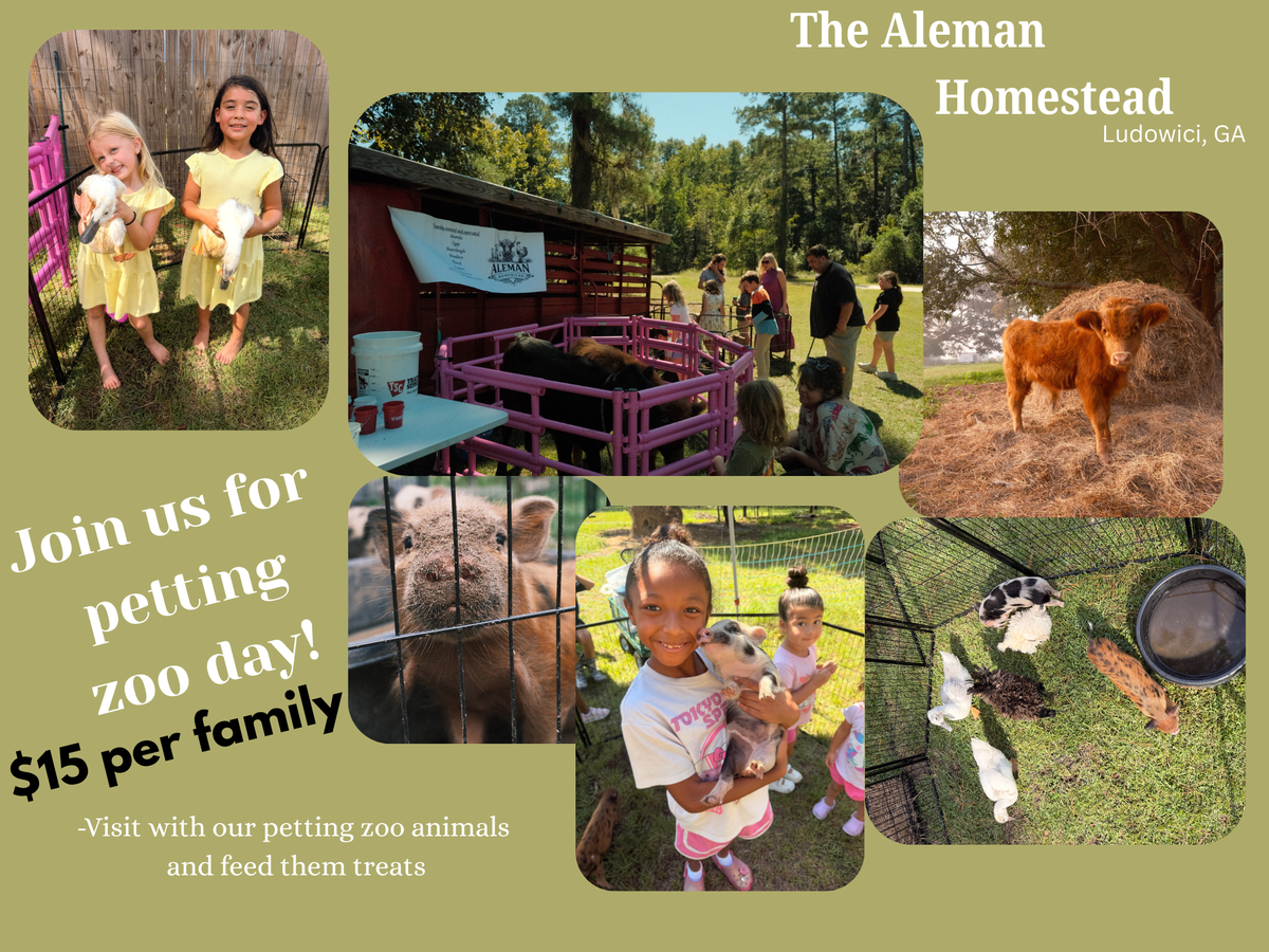 Petting zoo Sunday *10/11